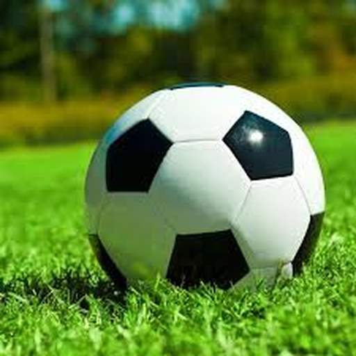 世界杯welcome·2026世界杯指定官网(FIFA World Cup)